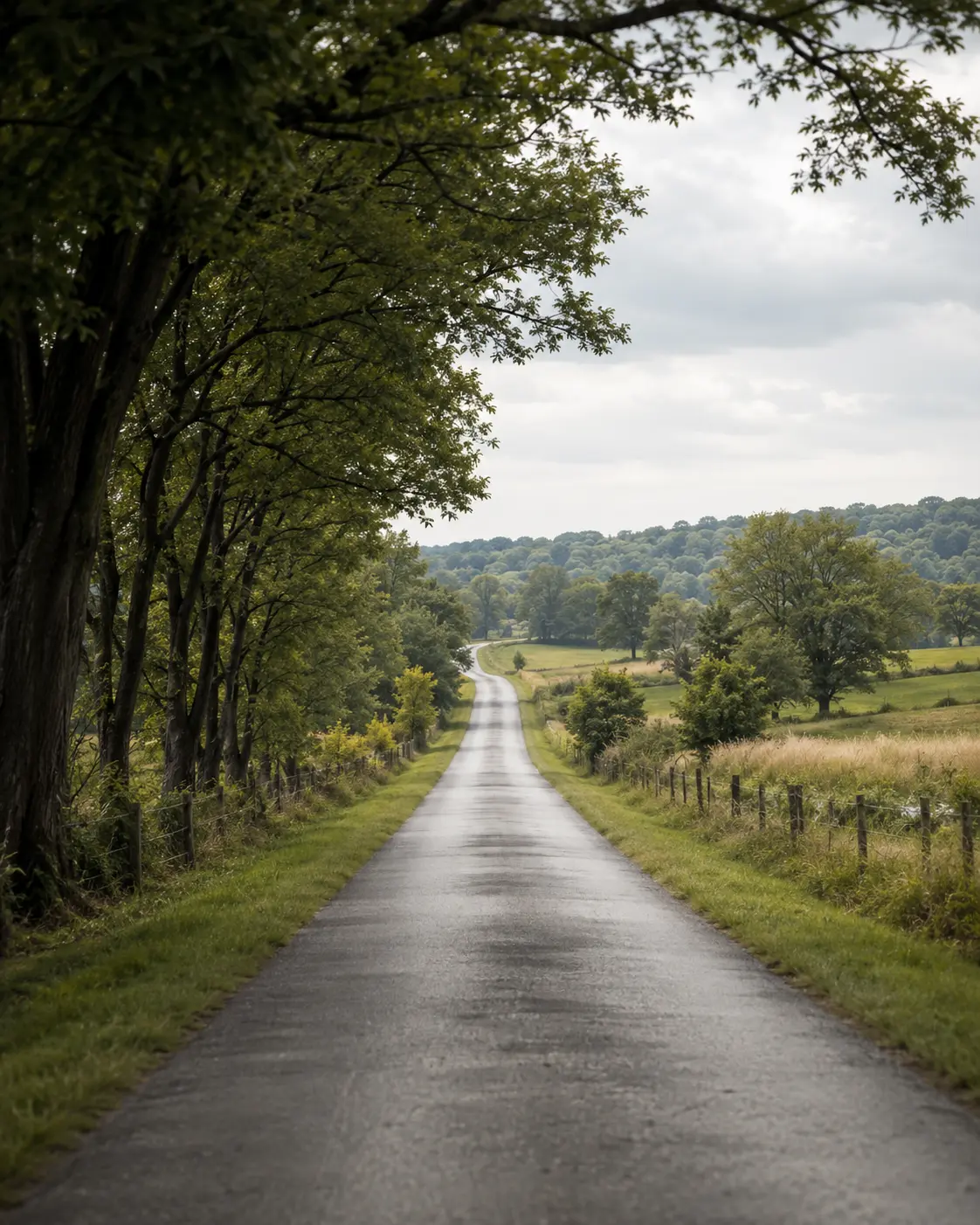 A quiet lane running away toward a distant tree line