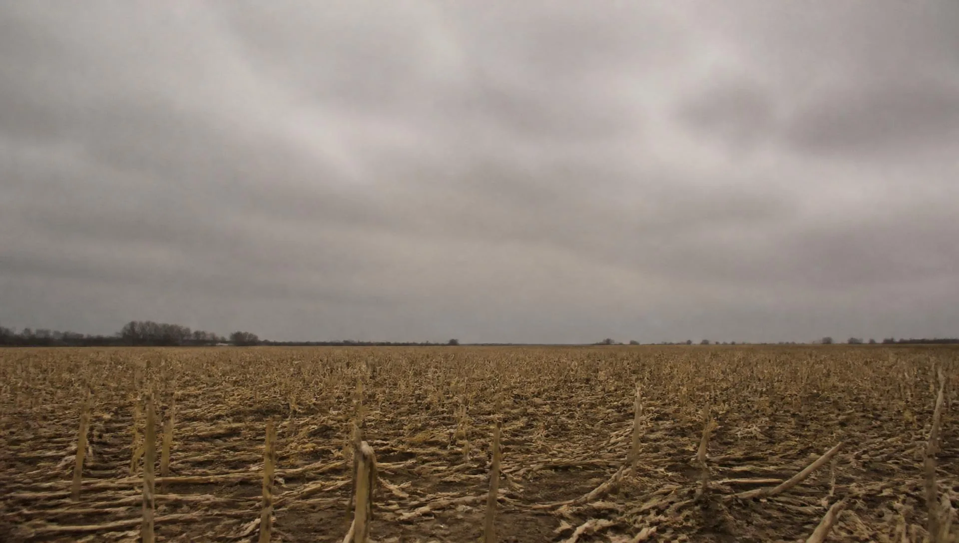 A cut stubble field under flat, heavy overcast